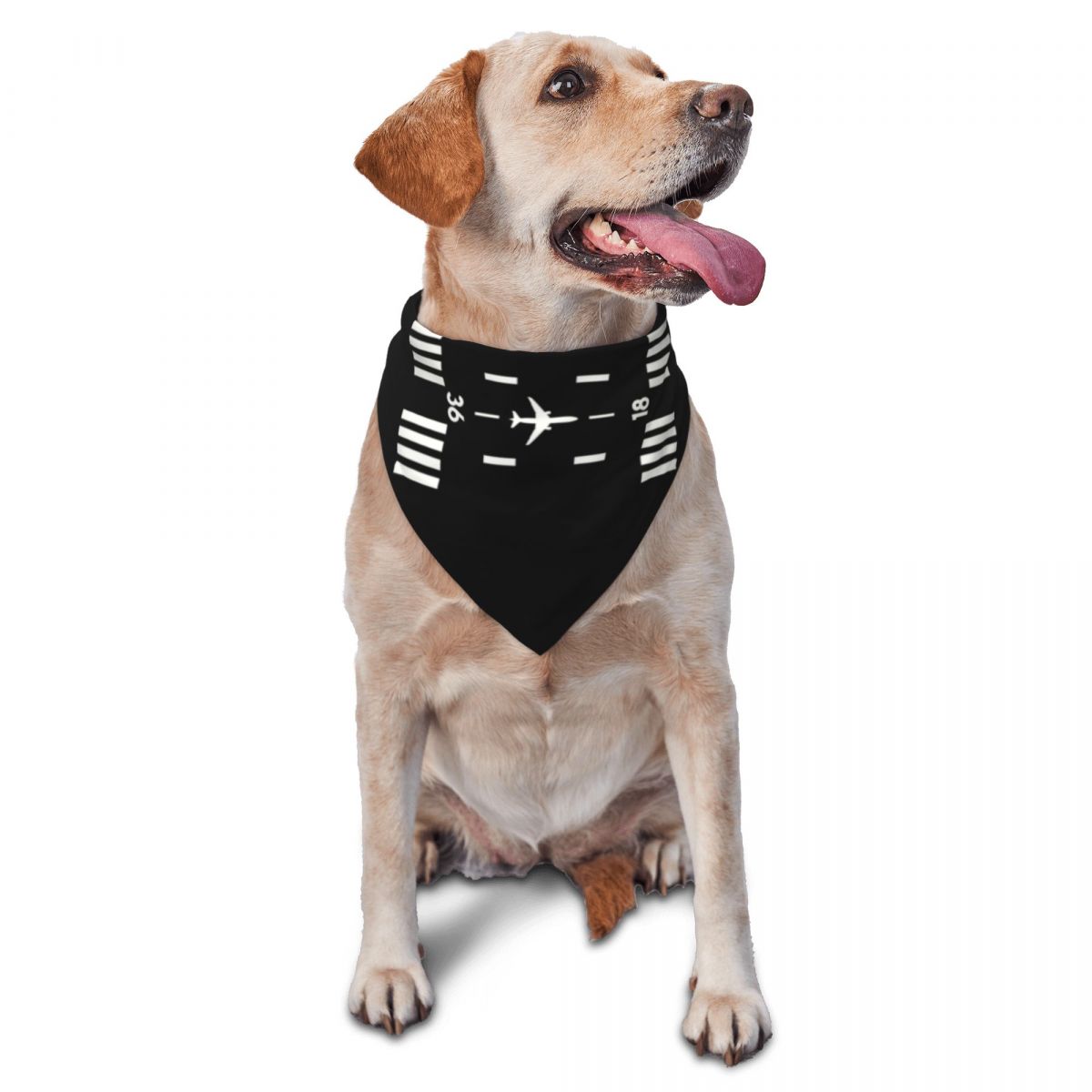 Dog Bandana Scarf - Airport Runway Pet Scarf Aviator and