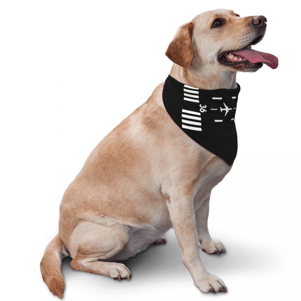 Airport Runway Pet Scarf Aviat - Dog Bandana Scarf review and price