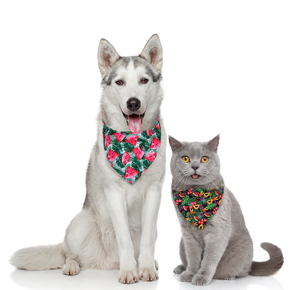 8pcs Dog Bandana Fruit Style B - Pet Supplies In Bulk review and price