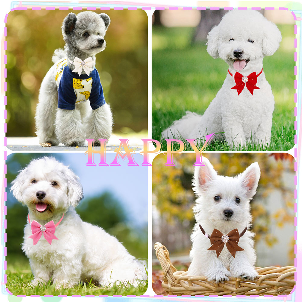 8PCS Dog Collar Floral Ribbon  - Pet Supplies In Bulk review and price