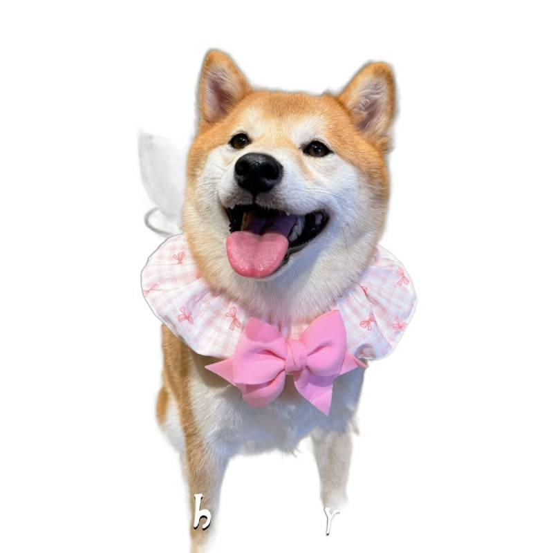 Pet Dog and Cat Bandana Bib Sc - Dog Bandana Scarf review and price